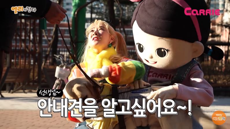 안내견과 놀이공원에 갈 수 있다?ㅣ손으로 배우는 장애인식개선