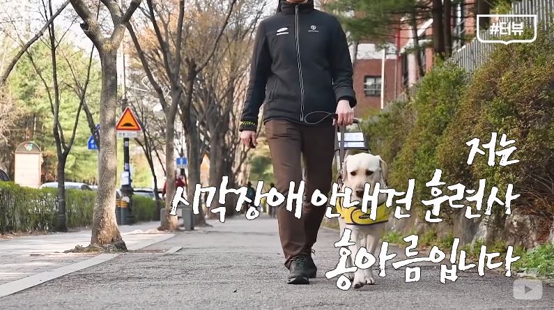 "안녕? 나는 시각장애인을 도와주는 안내견이야"